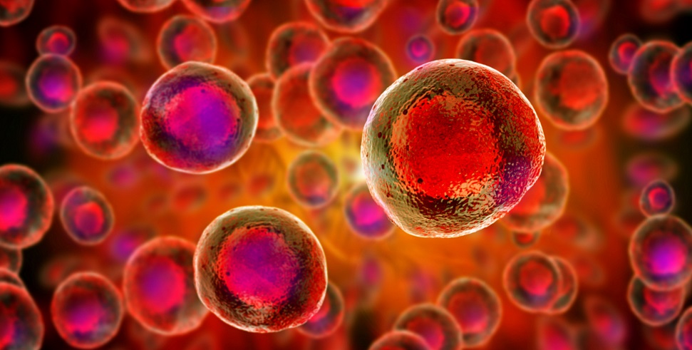 Red Embryonic stem cells in a gold bubble floating against a red background